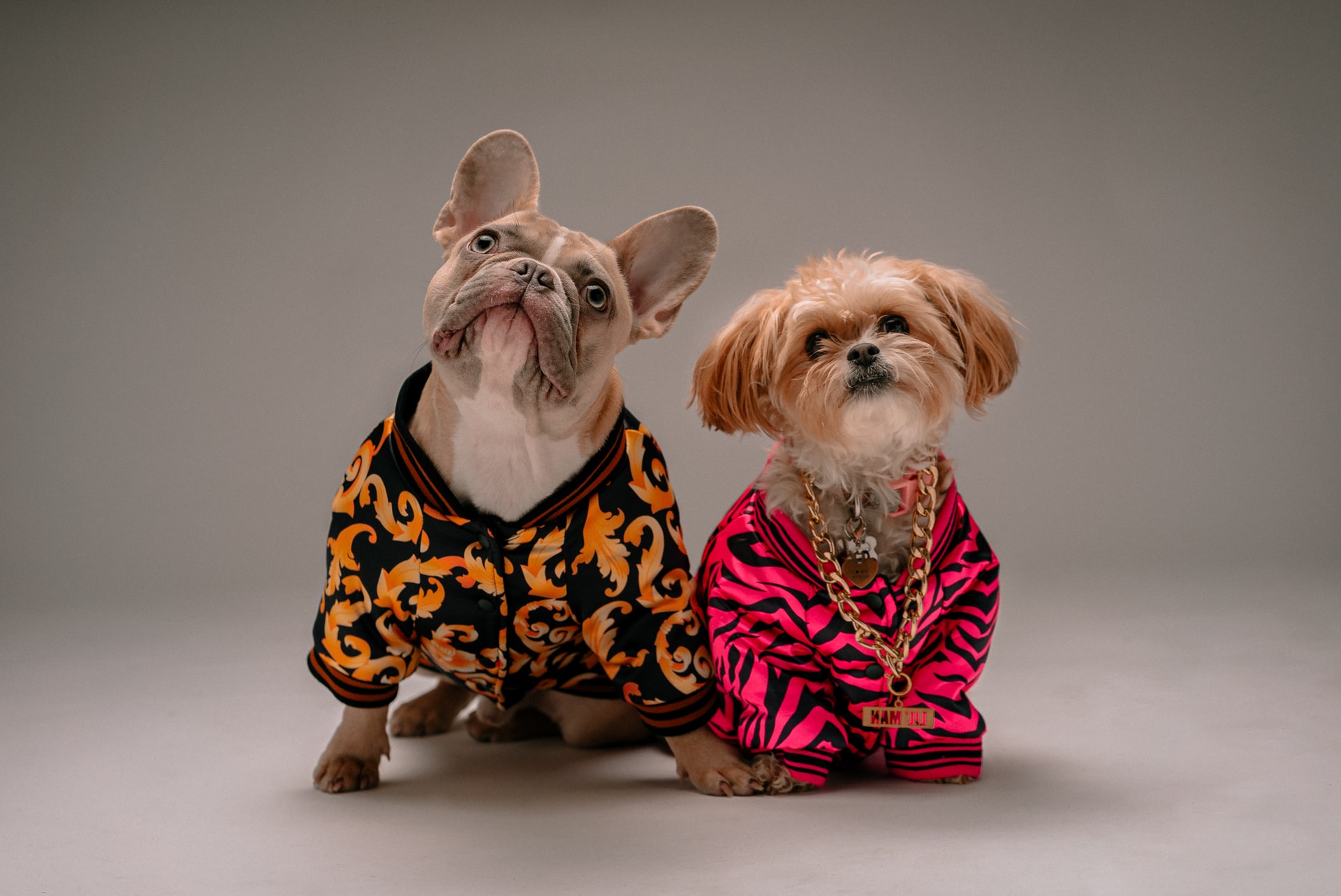 karsten-winegeart-qy0BHykaq0E-unsplash