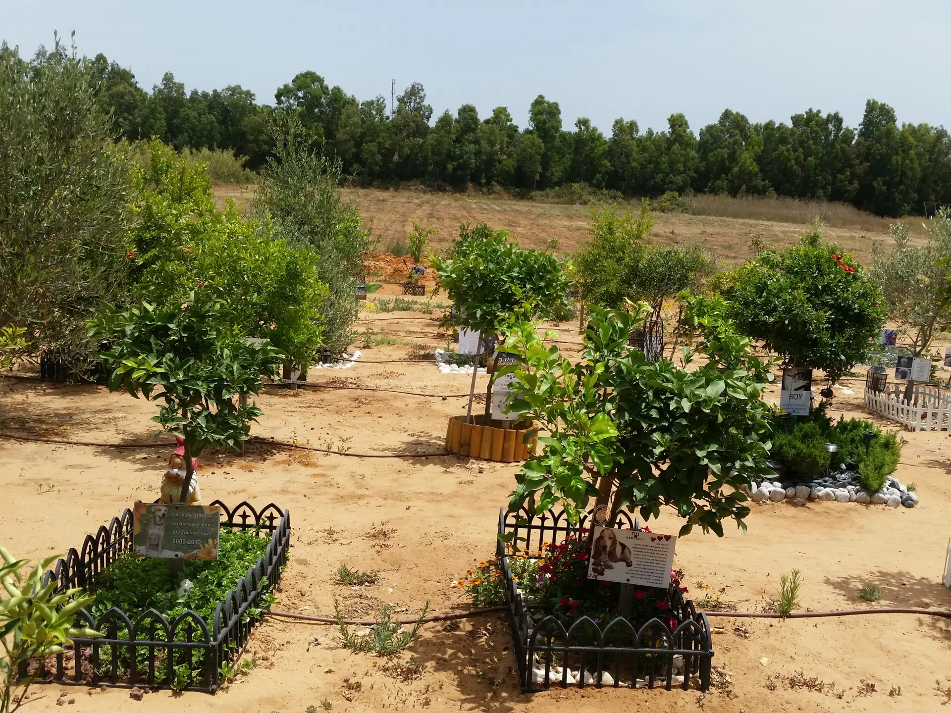 בית קברות לחיות מחמד
