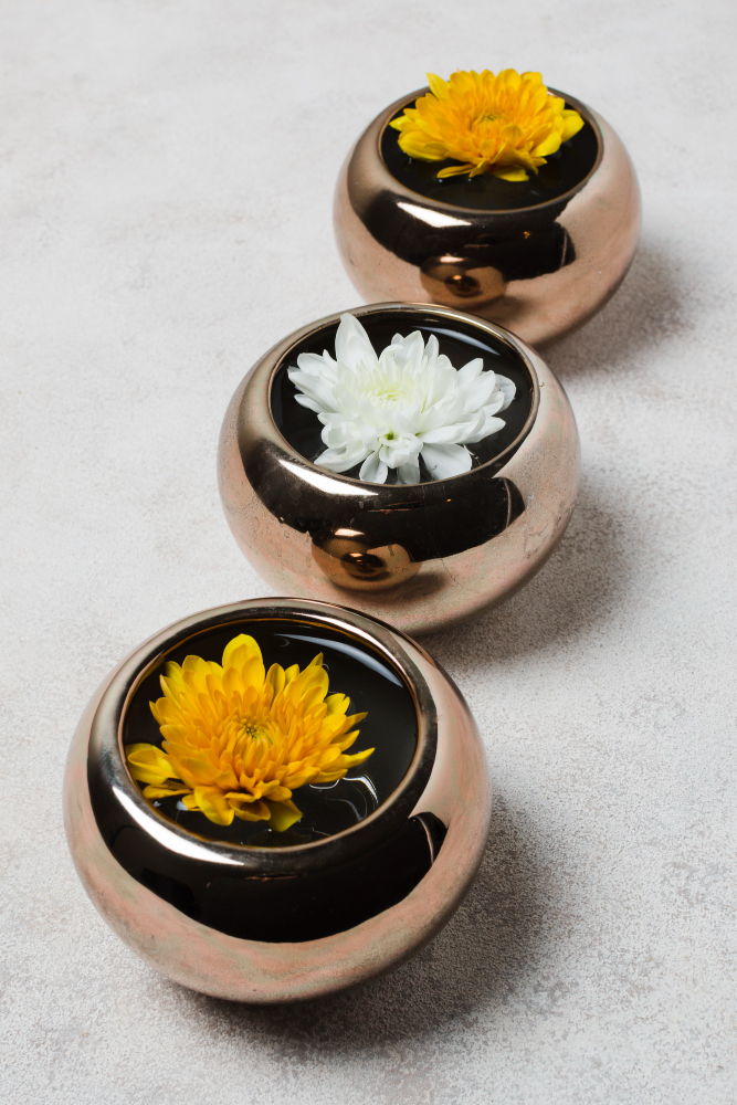 כד אפר של חיית מחמד