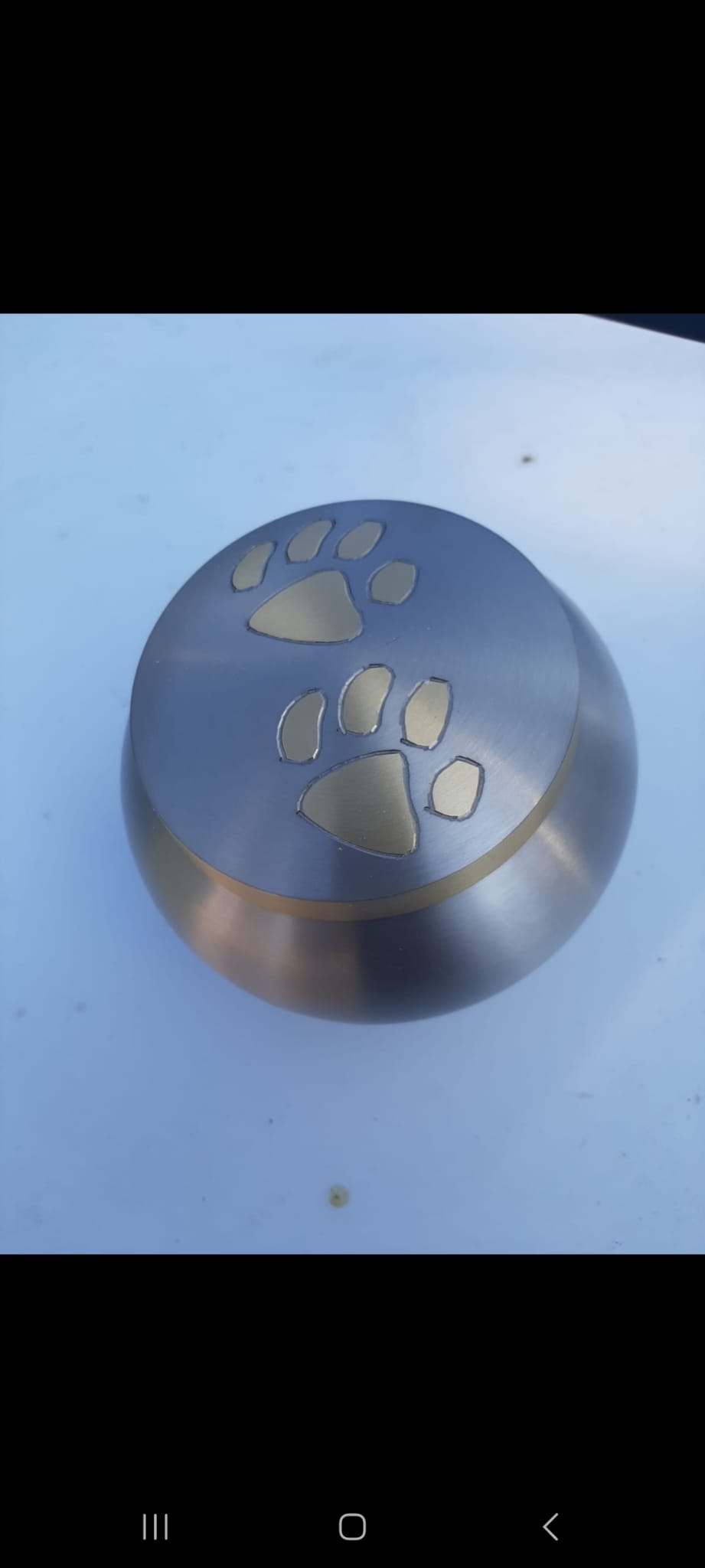 קרמטוריום - חתול